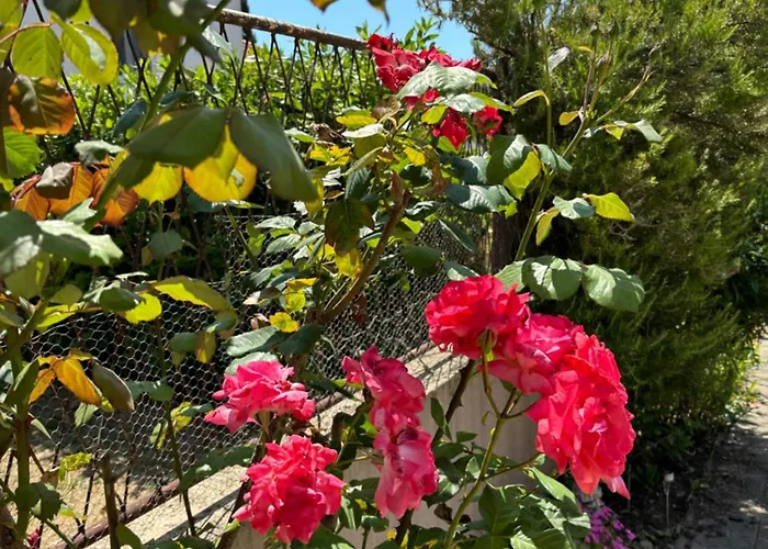 Ana - Family Friendly * Zára